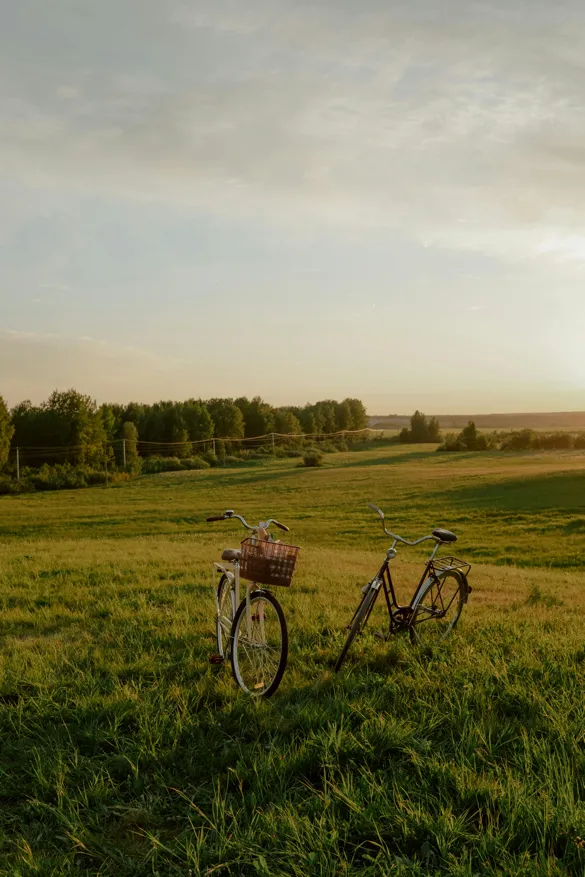 zwei abgestellte Fahrräder auf der Wiese